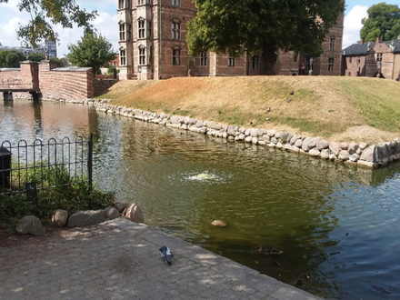 The moat that still partially surrounds Rosenborg castle has ducks.😏 The queens' rose garden is towards the right of this place.