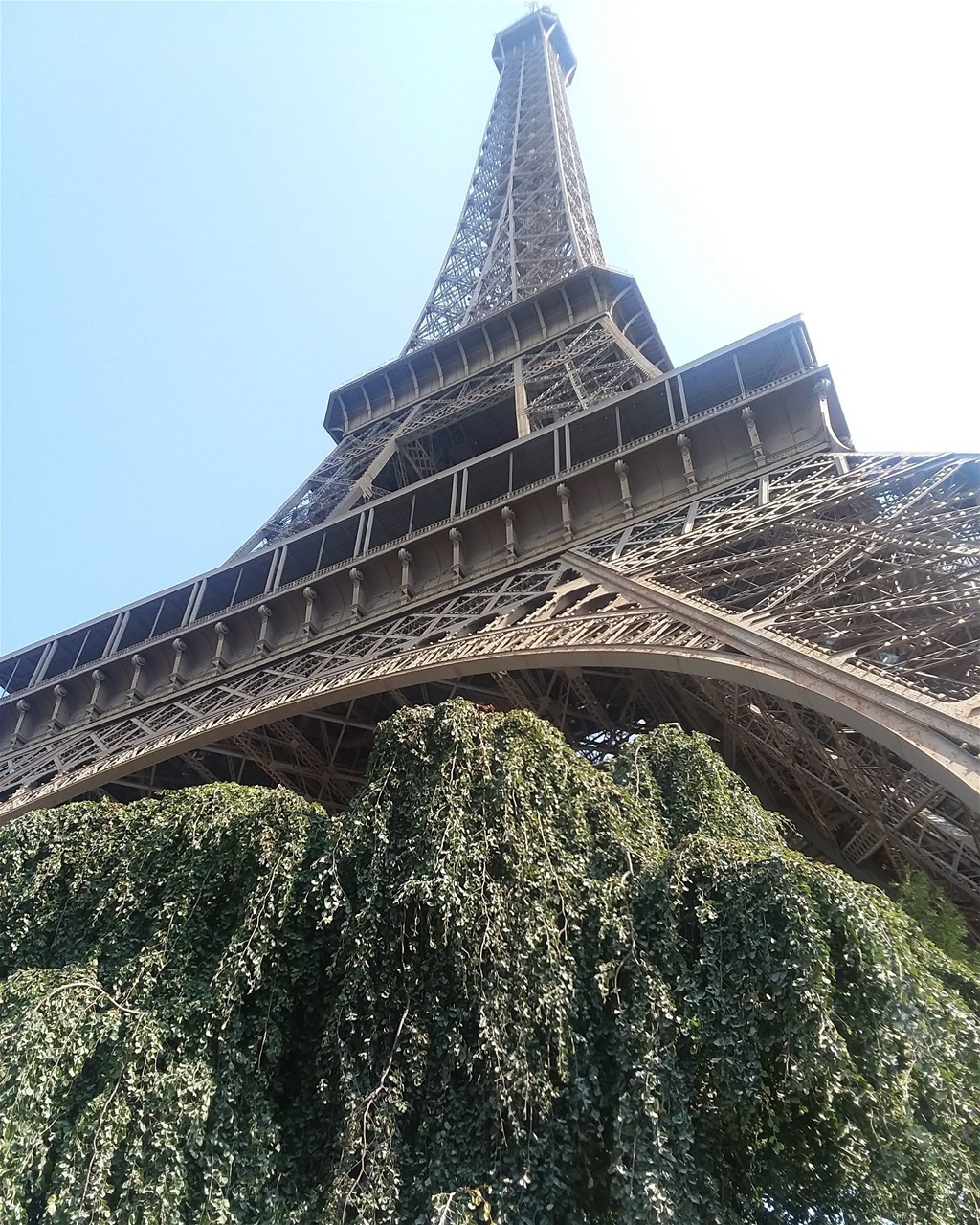 TOUR EIFFEL FROM ONE OF THE PATHS THAT LEADS TO THE ENTRANCE.