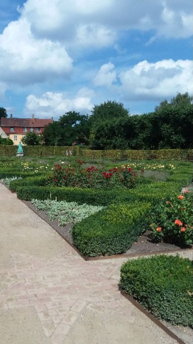 The queens' rose garden.