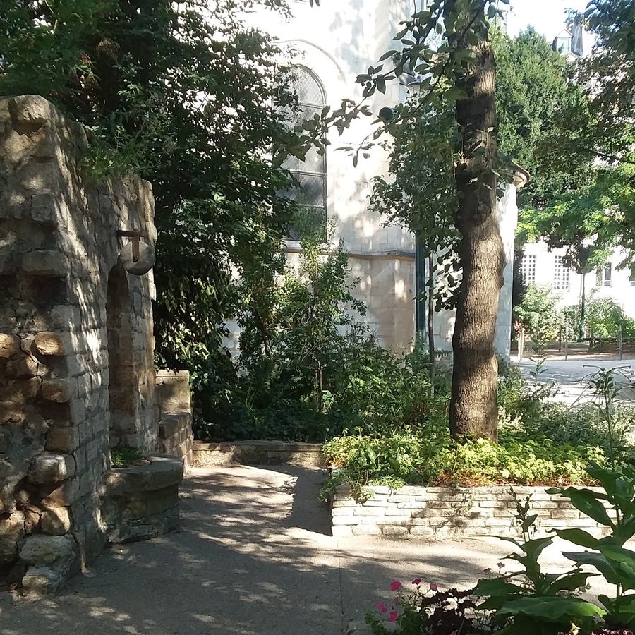 Square René Viviane is at Quai de Montebello, Rue Lagnange, and Rue de Saint-Julien le Pauvre. The bookstore Shakespeare and Company is on the other side of Rue Saint-Julien le Pauvre towards the west. This is a small, cozy park which is one of my favorite parks in Paris. There are lots of places to sit and relax in the shade of several trees. On the left side of this photo is an ancient Wall from a previous building that could have been part of the oldest hospital in Paris. On the other side of the Seine River was the ancient Hospital Dieu and an annex of that hospital was here. Or, possibly  a portion of a mausoleum wall because there was also a cemetery here for a time. The oldest tree in Paris is here. It is a Locust tree. It was planted by Jean Robin (a botanist 1550-1620). 1601 is the year given when he planted the tree. There is also a strange fountain here. To look at it, one may think 