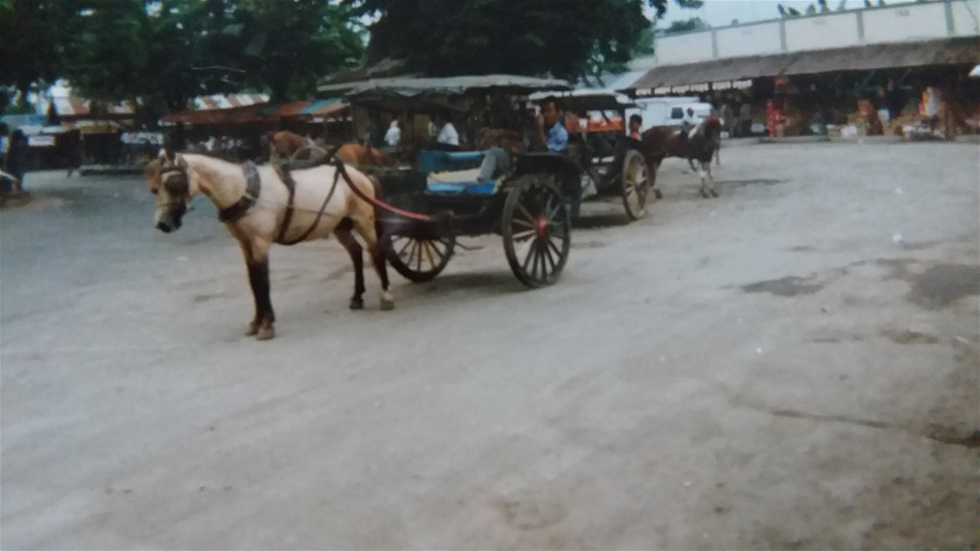 WHILE TRAVELING THROUGH JAVA