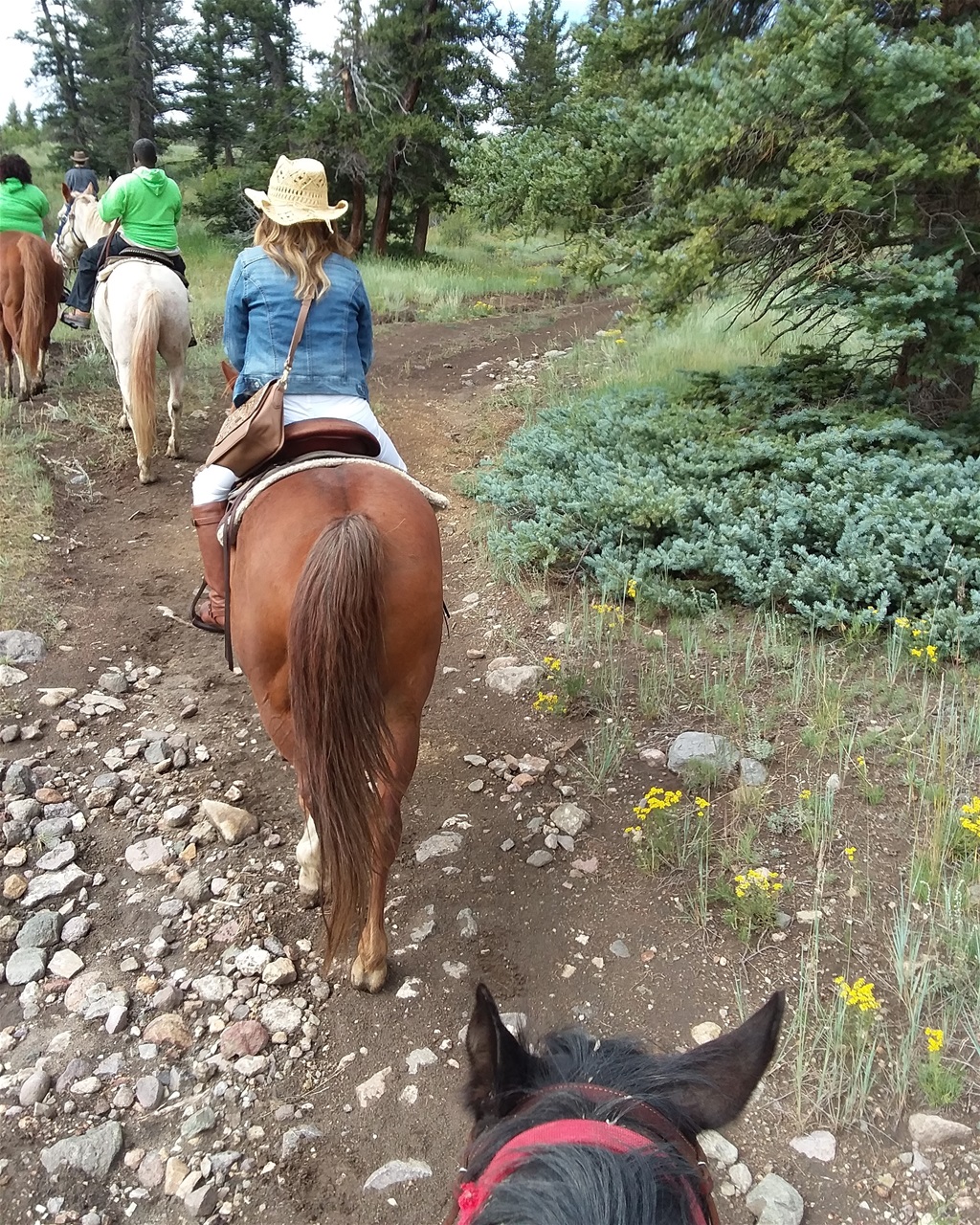 HORSEBACK RIDING JUST OUTSIDE OF CREED COLORADO.