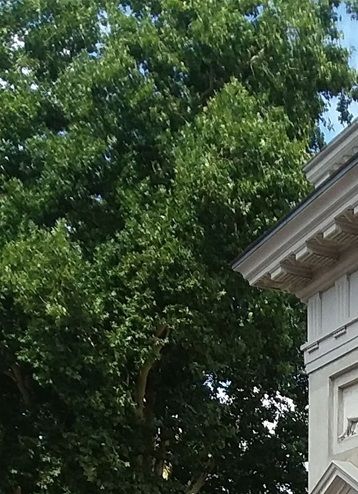 On the grounds of Rosenborg castle, in Copenhagen. This is the Hercules Pavilion and the ice cream shop is on the other side. .