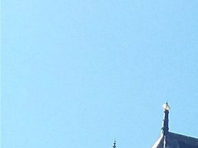 Another view of the Royal Chapel at Vincennes. Reno is included in this photo. He is our younger son.