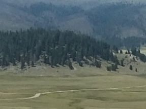 Our Father's Day road trip included Santa Fe, Los Alamos, Valles Caldera, and Jemez Springs. This photo at Valles Caldera is within Valles Caldera National Preserve.
