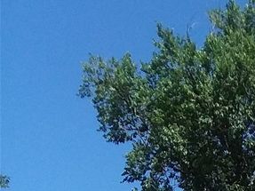 On the south side of Acacia Park in Colorado Springs CO. This is in the downtown area of my home town