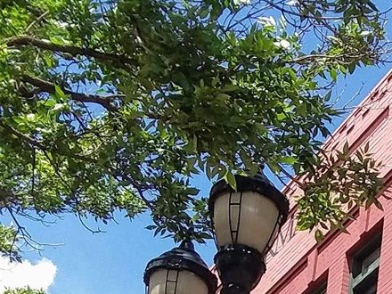 Between Colorado Springs and Manitou Springs is a lovely community called Old Colorado City. Along Pikes Peak Avenue, Colorado Avenue, and Manitou Avenue are many great restaurants, shops, and activities to keep all visitors busy .