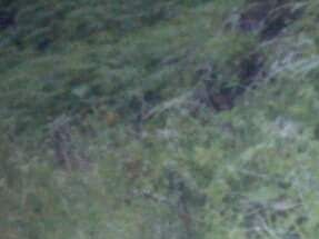This photo of an old photo that was taken the year I got married to Farida (1993) in Parlilitan North Sumatra is not very clear but this is all I have from that time before anyone had cell phones. All the photos I took in those first years of travel were made with Kodak and Fuji throw away one time use cameras.