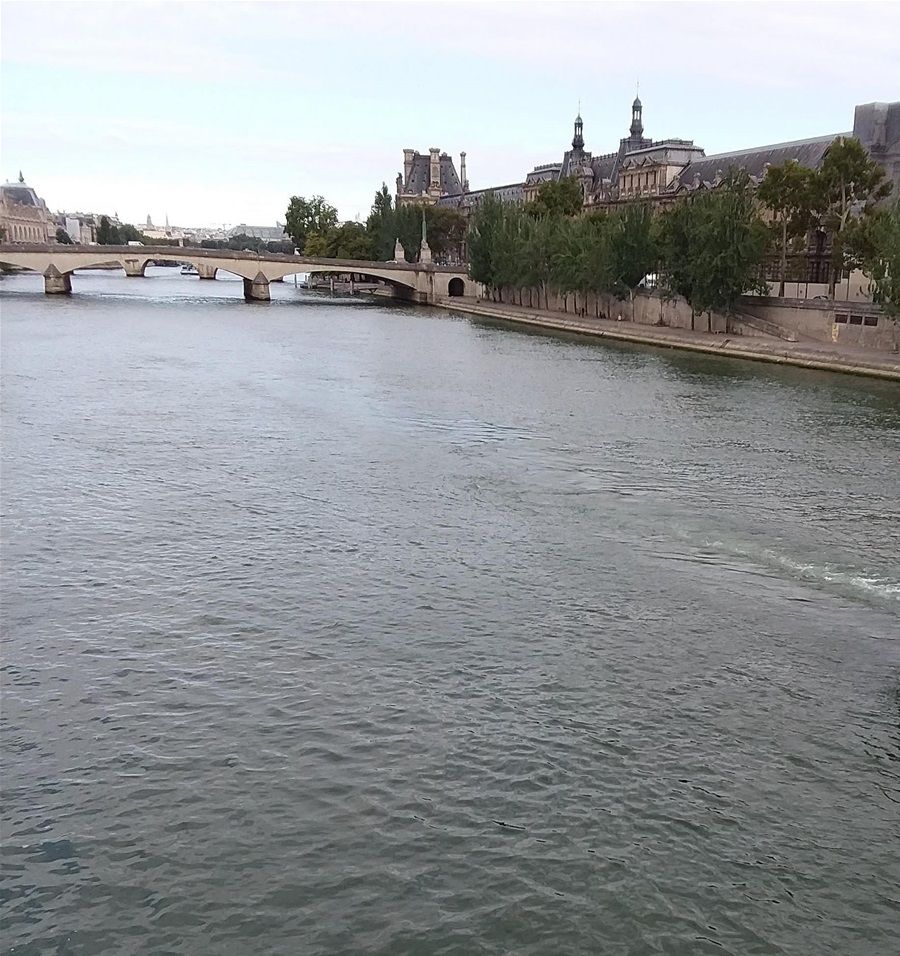 Another view looking down (or is it up) the Seine River.