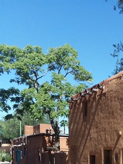 Looking up Canyon Road in Santa Fe NM.