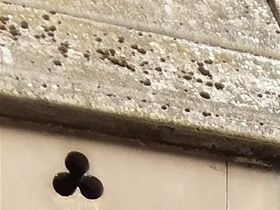 This grave site can be seen near one of the entrances of Père Lachaise cemetery in Paris.