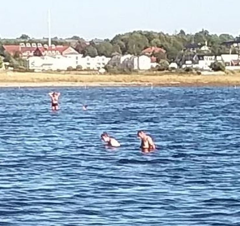 Bones and shells of animals can be found throughout the shores of Roskilde Fjiord. People have settled in this area for more than 6,000 years.