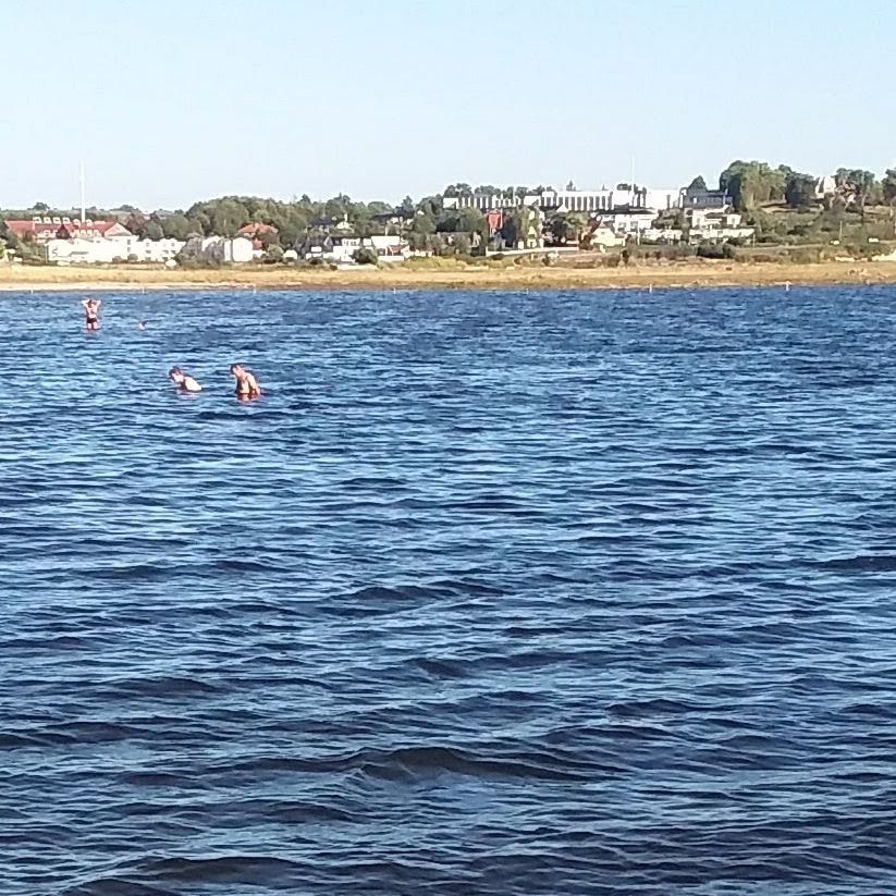 Bones and shells of animals can be found throughout the shores of Roskilde Fjiord. People have settled in this area for more than 6,000 years.
