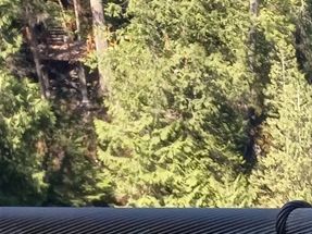 Making a few photos on the Capilano Suspension Bridge. This photo is not so good but I was trying to capture the River below along with Farida. I probably should have just focused on the river.