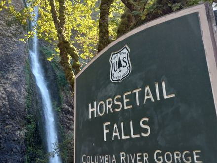 We were on a tour of the Columbia River Gorge area. We were about 10 persons in a van. This waterfall is the tour guides' favorite waterfall. We visited 5 waterfalls while on this tour.